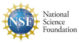 NSF YouTube logo